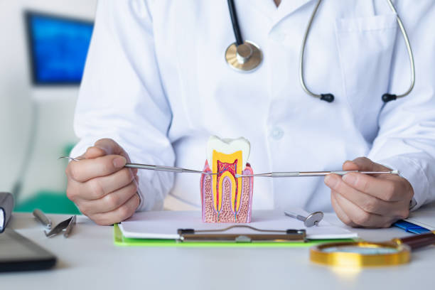 Best Emergency Treatment for Dental Infections or Abscesses in Long Lake, MN